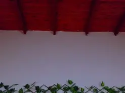 Alice_rous21  live sex cam