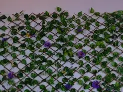 Alice_rous21  live sex cam