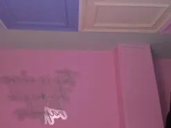 Kendraclark1  live sex cam