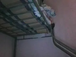 Chazziah23  live sex cam