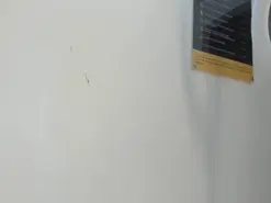 Mila_Star  live sex cam