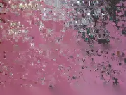 NECTAR1111  live sex cam