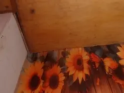 Katrina_lust  live sex cam