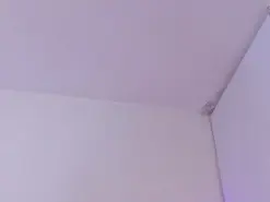 AnastaciaBlake  live sex cam