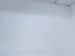 ZoeSwam  live sex cam