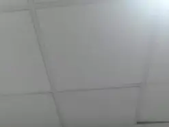 ZoeSwam  live sex cam