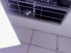 ZoeSwam  live sex cam