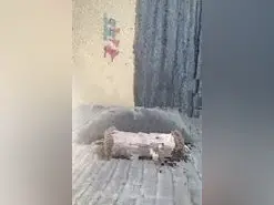 Sparkle_  live sex cam