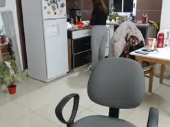 Buunnylolaa  live sex cam