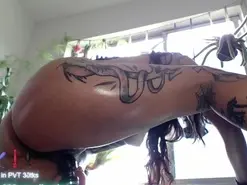 Catsalo  live sex cam