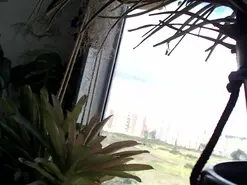 Catsalo  live sex cam