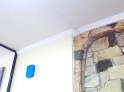 BlueBerry_  live sex cam