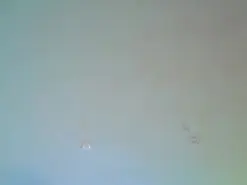 Carol_blonde  live sex cam