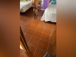 Cata0e  live sex cam