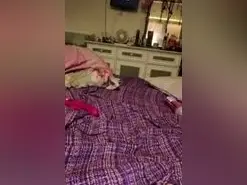 Jessicarabit  live sex cam