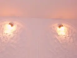 LiamCarter  live sex cam