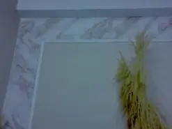 Onawa  live sex cam