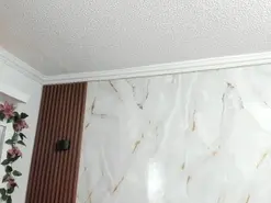 Loolis_sh  live sex cam