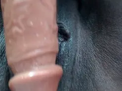 Negrabig1  live sex cam