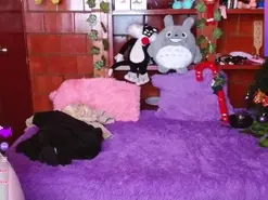 MidoriQuinn  live sex cam