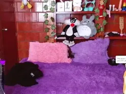 MidoriQuinn  live sex cam