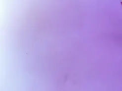 Stefany_wish  live sex cam