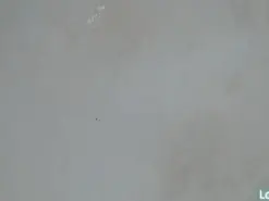 Stefany_wish  live sex cam