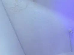 Stefany_wish  live sex cam