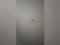 Tuperrita409  live sex cam