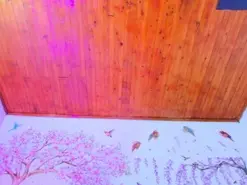 Sofia_Diaz  live sex cam