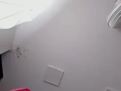 FaloonRoussel  live sex cam