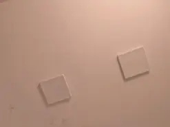 FaloonRoussel  live sex cam