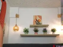 LittleVixen18  live sex cam