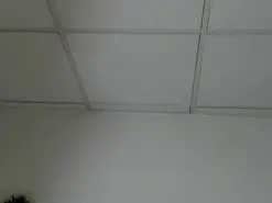 GiannaJohnson  live sex cam