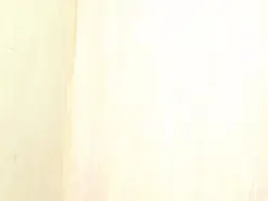 Cutekairi  live sex cam