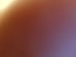 D1408  live sex cam