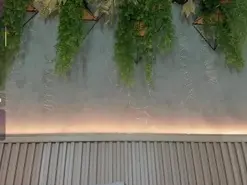 Lana_lann  live sex cam