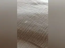 Troyana_  live sex cam