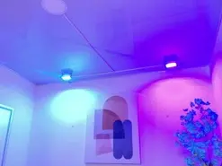 Ritsuka_berry  live sex cam