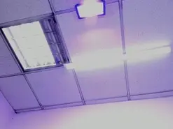 Hanny_Watson  live sex cam