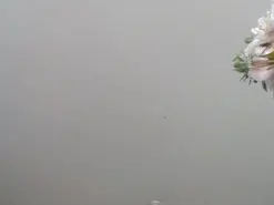 Mariana_  live sex cam