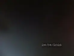 Bell_art  live sex cam