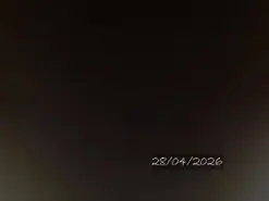 Bell_art  live sex cam