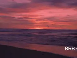 Bell_art  live sex cam