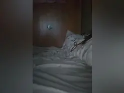 Laputa2024  live sex cam