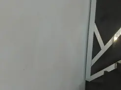 Paulax7  live sex cam