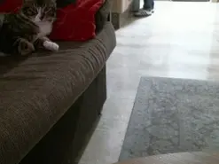 Barbara_27  live sex cam