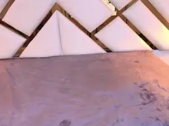 SheriSueVS  live sex cam