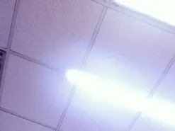 LanaGreySexy  live sex cam