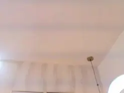 Iris_faster  live sex cam